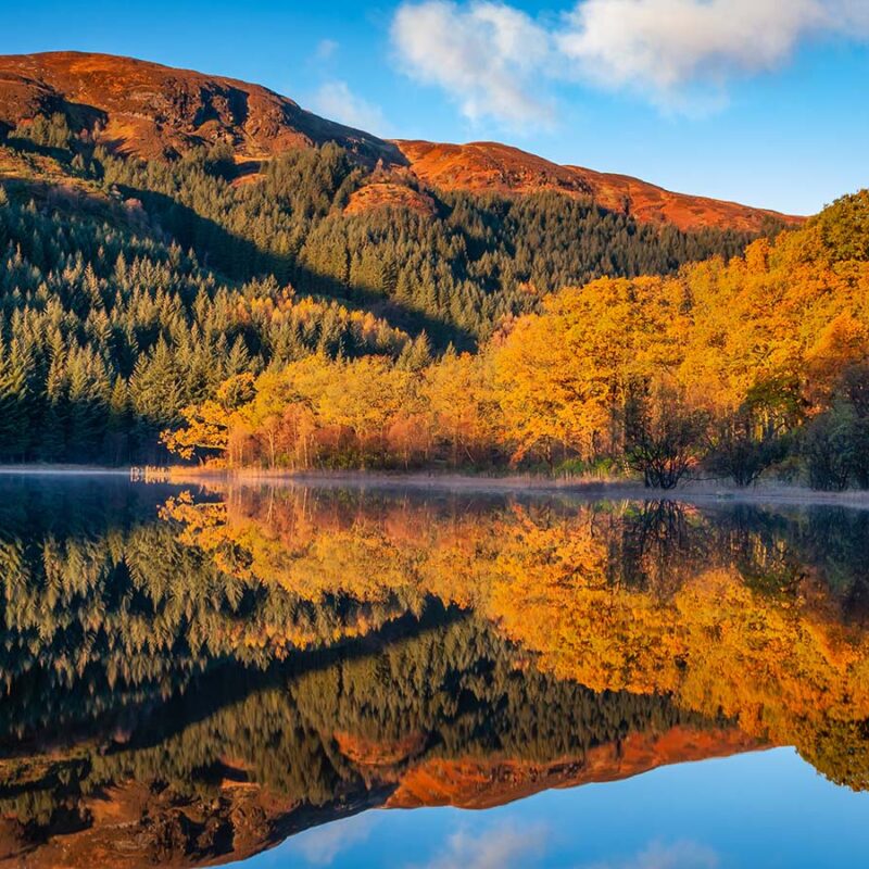 A stunning Autumn scene of a loch with browns, golds and reds in Scotland