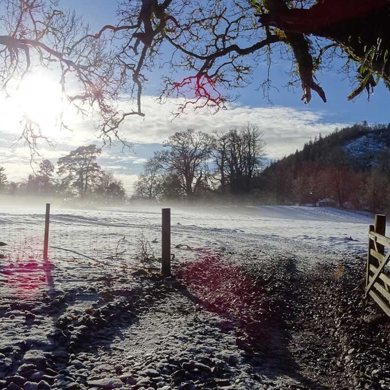 Inveraray Castle grounds in winter with a gate opening into a frosty, misty field in morning sunlight.
